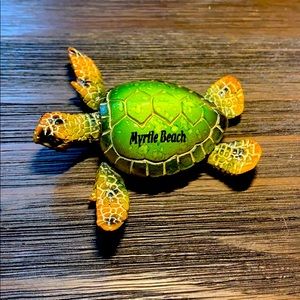 Myrtle beach turtle